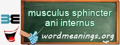 WordMeaning blackboard for musculus sphincter ani internus